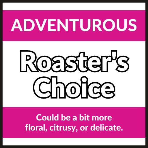 Adventurous Roaster's Choice