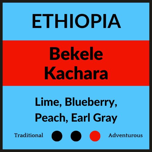 Bekele Kachara