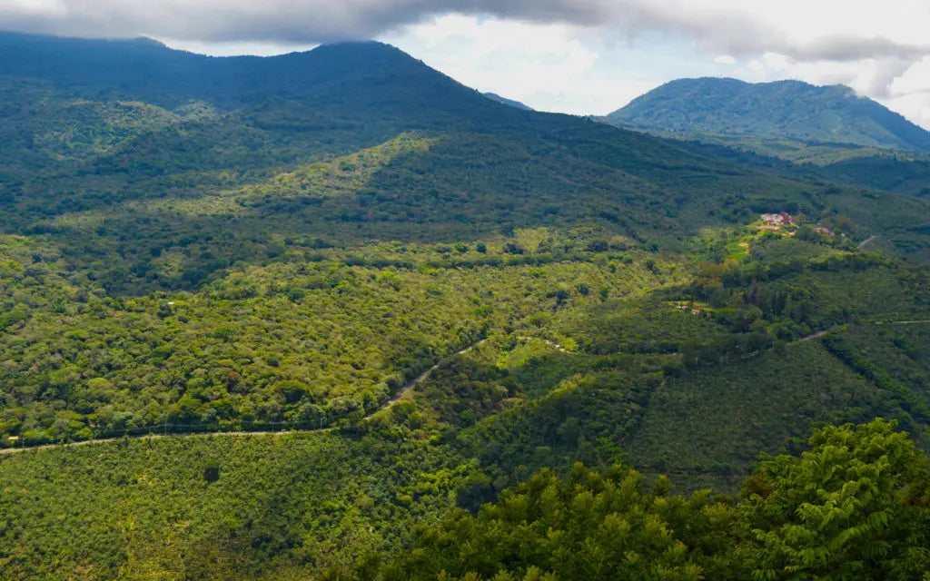 Finca Santa Matilde